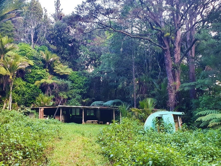 Bush Retreat with Kauri Trees, Cabin and Creek